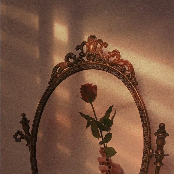Poshmark profile picture for @drastically